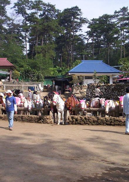 File:04 16 2006 Wright Park Baguio City ...