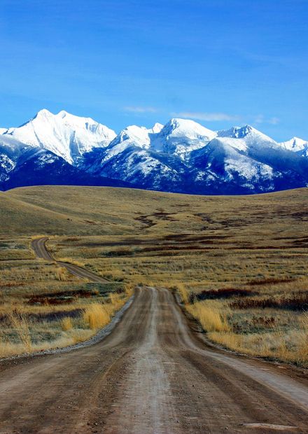 File:Mission Mountains National Bison ...