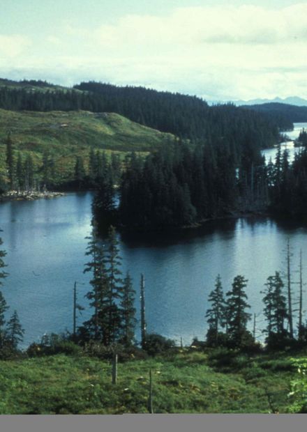 File:Scenic view of lagoon.jpg ...