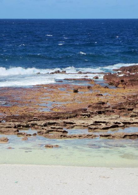 File:Lily Beach (25445124181).jpg ...