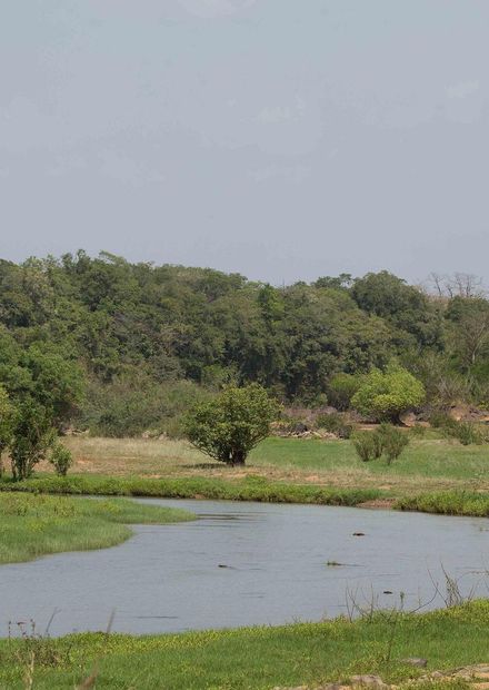 File:Comoe river with wetlands.jpg ...