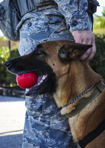 Inaugural Gulf Shores Detection Showdown