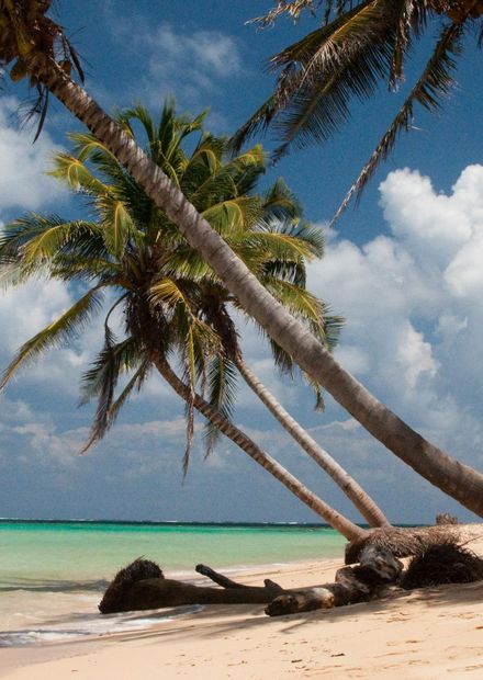 File:Otto Beach, Little Corn Island.jpg ...