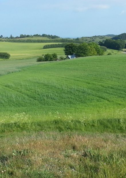 Fil:Agri Bavnehøj from west..jpg ...