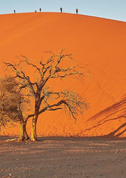Dune 45 Sossusvlei Namibia.jpg ...