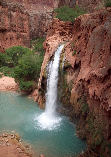 File:New havasu falls.JPG - Wikimedia ...