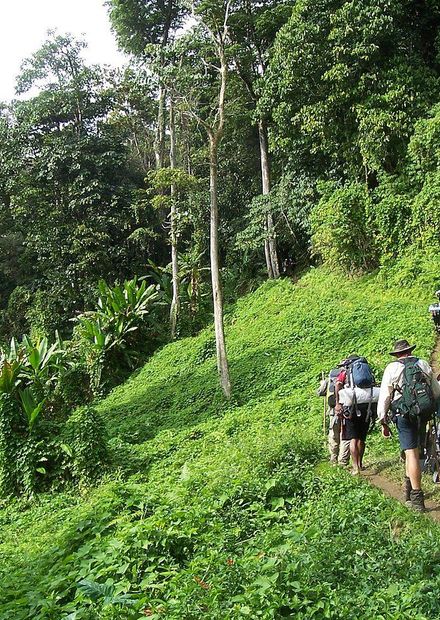 File:Kokoda track Papua New Guinea.JPG ...