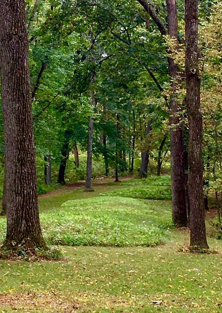 File:Great Bear Mound Group, North Unit ...
