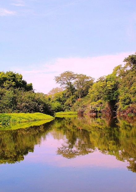 Salobra River Miranda Municipe ...