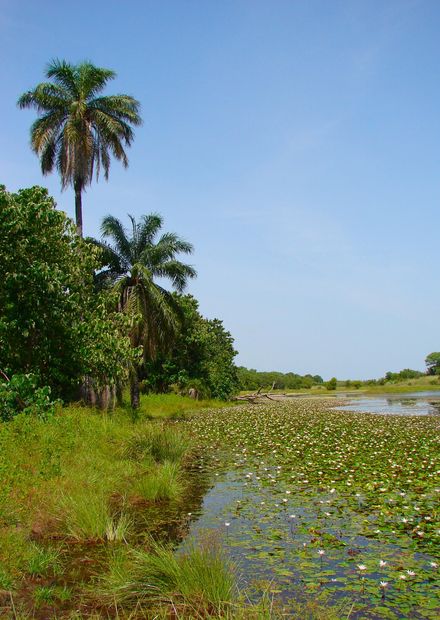 File:Kiang-West-Scenery-2007.jpg ...