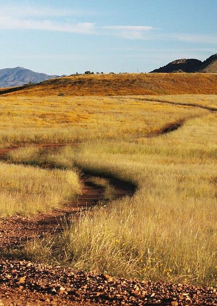 File:SAN RAFAEL VALLEY GRASSLANDS, SE ...