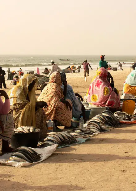 File:Fish market in Nouakchott ...