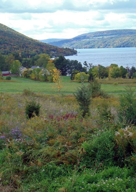 File:Canandaigua Lake scenic.jpg ...
