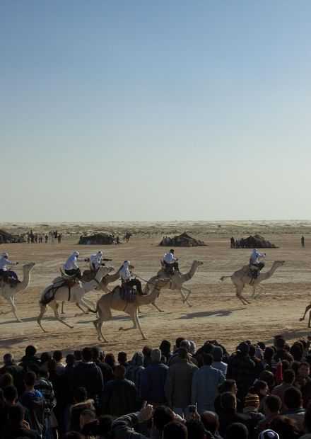 File:Tunisia 10-12 - 086 - Douz and the ...