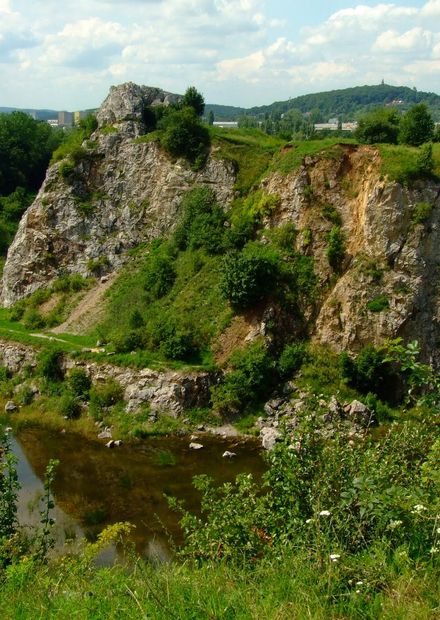 File:Rezerwat Kadzielnia.jpg ...