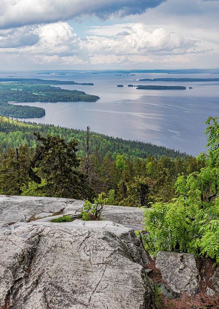 File:Koli National Park, Finland ...
