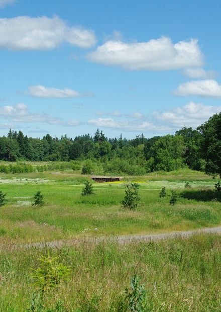 File:Tualatin River National Wildlife ...