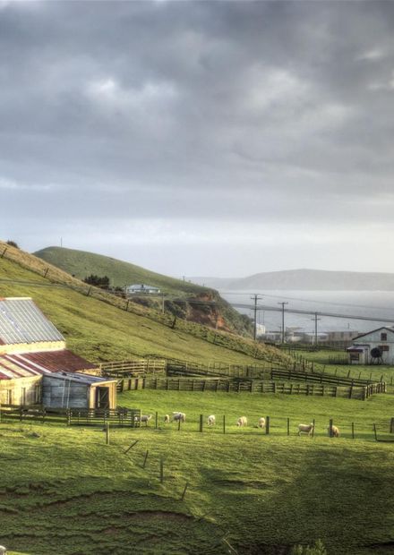 File:View from Chatham Islands.jpg ...