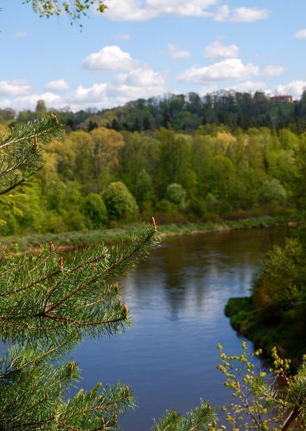 File:Gauja national park.jpg ...