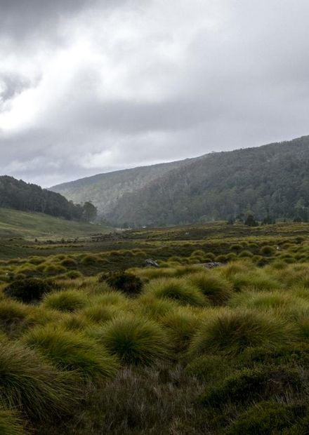 File:Landscape at the foot of Mount ...