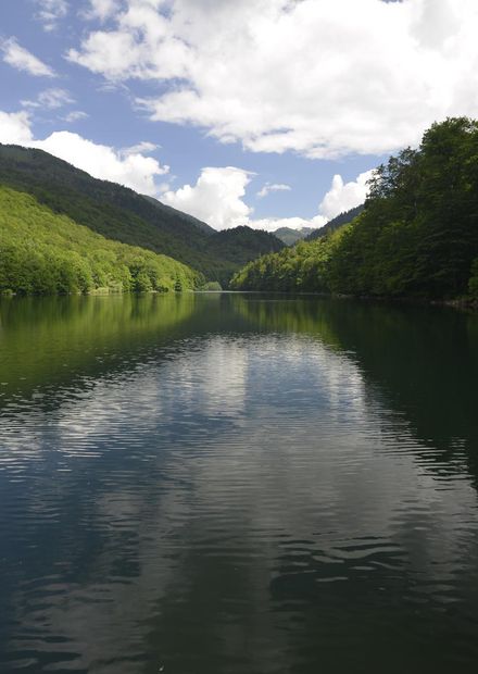File:Beauty of National Park Biogradska ...