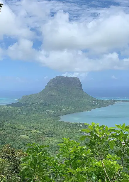 File:Ebony Forest Chamarel - View of Le ...