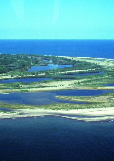 File:PresqueIsleStatePark.JPG - Wikipedia