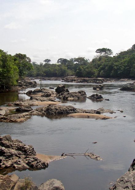 Fichier:Epulu Okapi Reserve.jpg ...