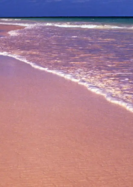 File:Bahamas 1989 (348) Eleuthera Pink ...