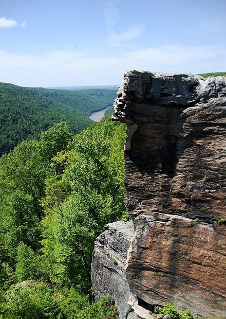 File:Cooper's Rock State Forest.JPG ...