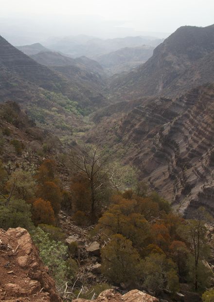 File:Goda Mountains - National Park of ...