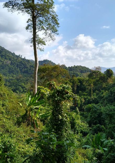File:Kep National Park 6.jpg ...