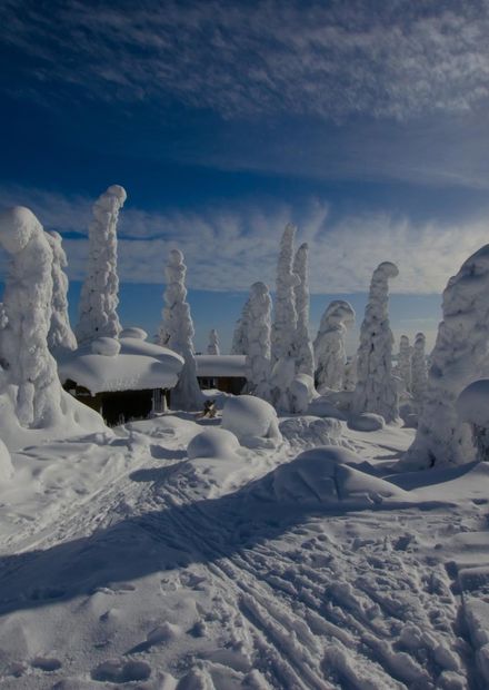 File:Snowy winter landscape ...