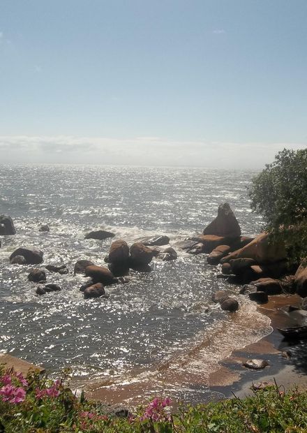 File:Morning breeze.JPG - Wikimedia Commons
