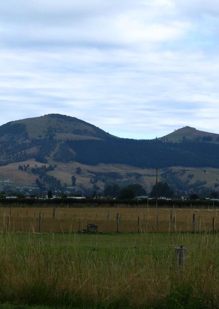 File:Saddle Hill, Dunedin, NZ.JPG ...