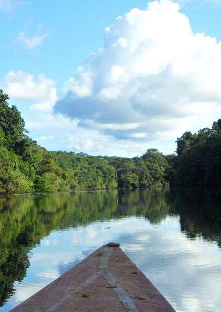 File:Pacaya Samiria Marañon River ...