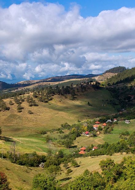 File:Zlatibor ,park prirode ,Zlatibor ...