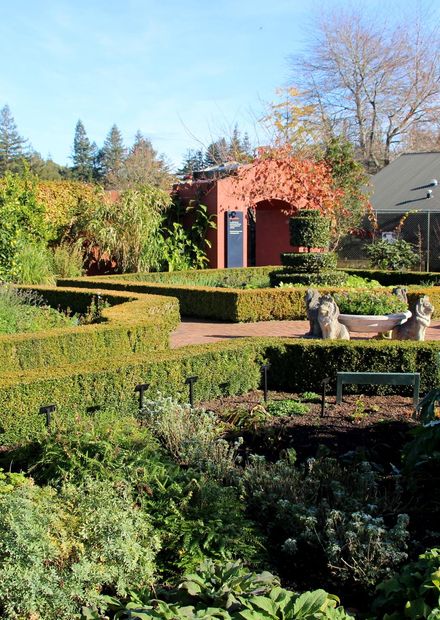 File:Herb Garden, Hamilton Gardens, New ...