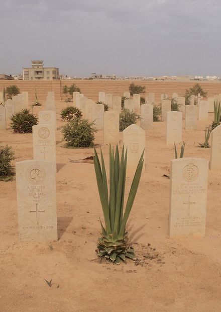 File:Commonwealth cemetery Tobruk5.JPG ...