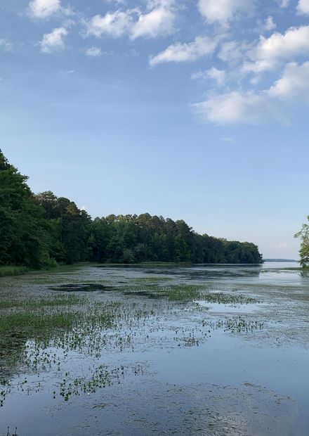 File:Lake Guntersville, Alabama.jpg ...