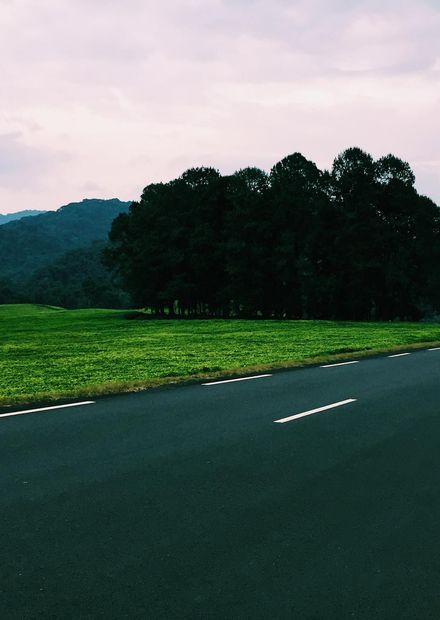 File:Nyungwe National Park.jpg ...