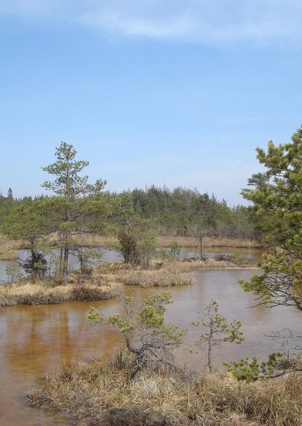 File:Lapmežciems Parish, Latvia ...