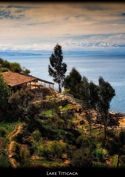 Lake Titicaca, Bolivia (4096970779).jpg ...