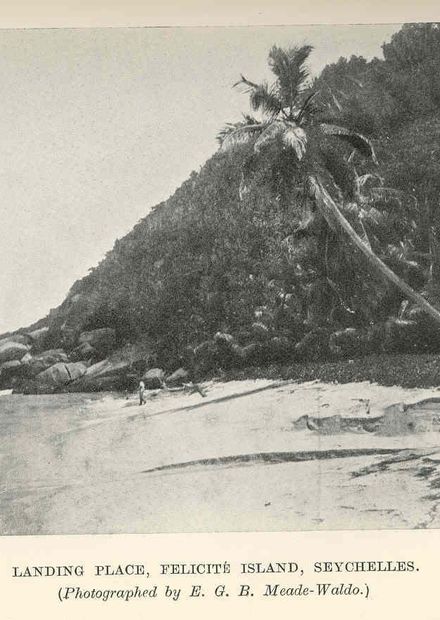 File:FMIB 36511 Landing Place, Felicite ...