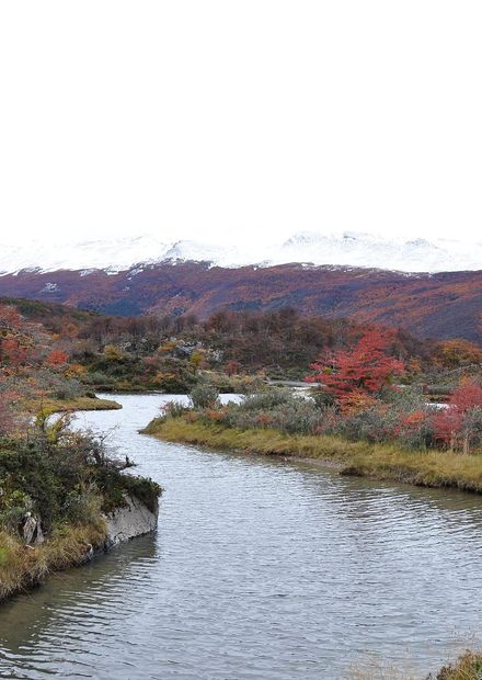 File:Tierra del Fuego National Park ...