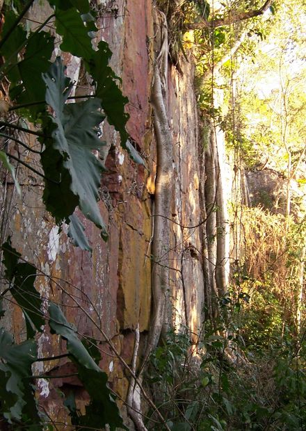 File:Cerro muralla, Cerro Cora, Amambay ...