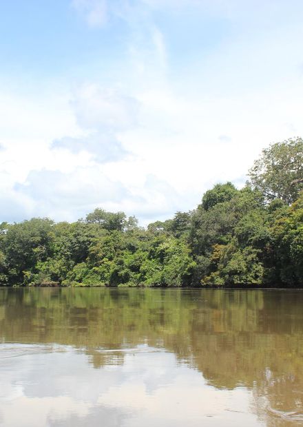 Fayil:Kaba or Little Scarcies River ...