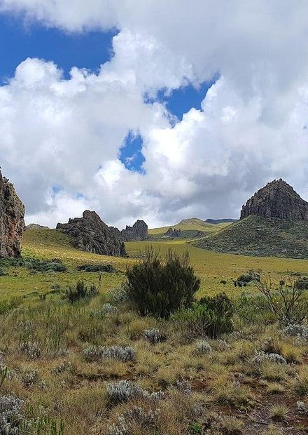 Mt Satima, Aberdare Range.jpg ...