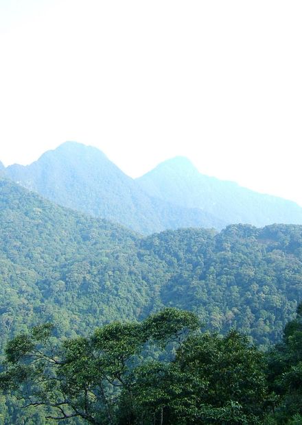 File:Tam Dao mountain range.jpg - Wikipedia