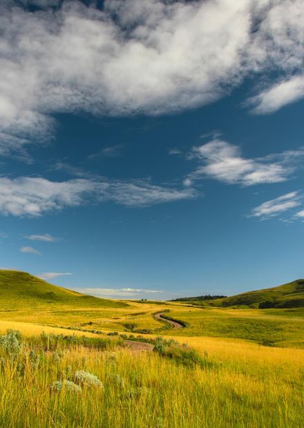 File:Kitulo National Park 16.jpg ...
